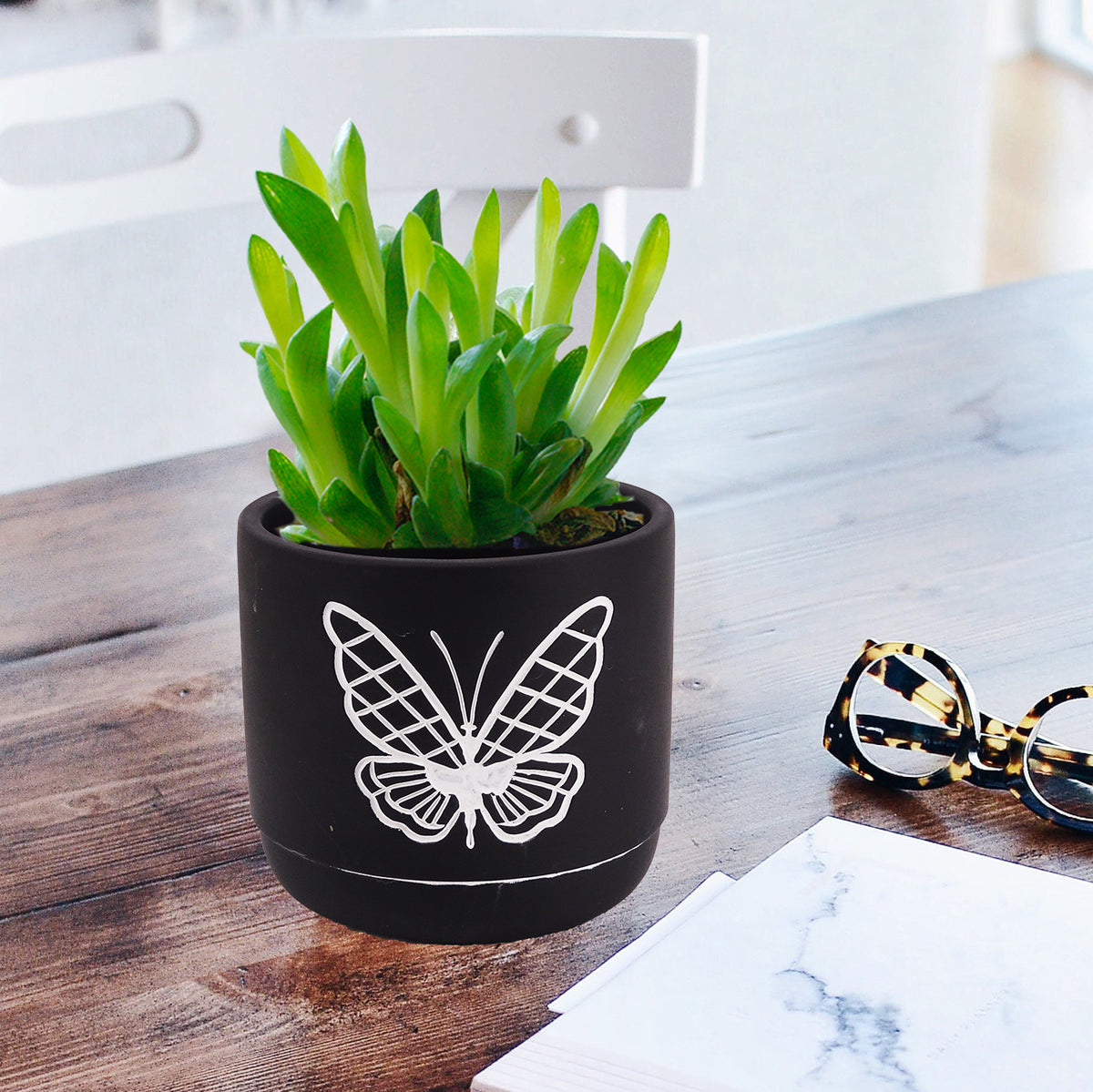 025042Black & White Bee - Cement Flower Pot 8 pc/cs SKU