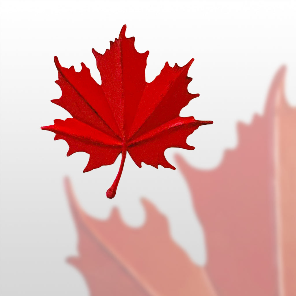 054030|Red Maple Leaf, Small Metal Wall Décor 2/case Default Title
