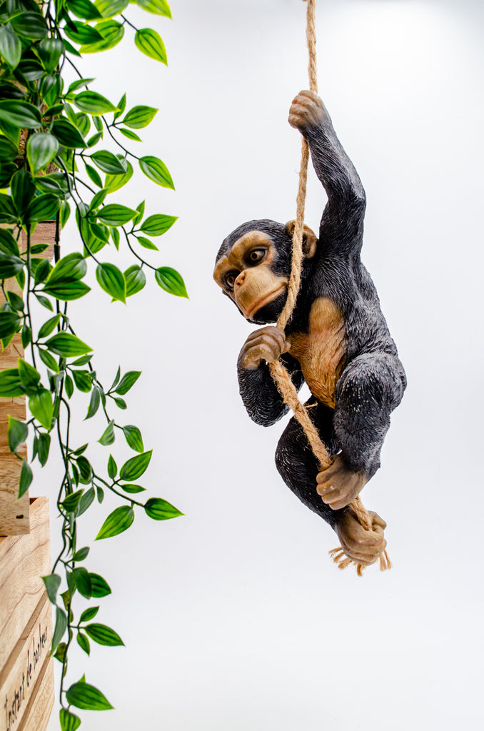 130105|Chimpanzee Hanging from a Rope 6/case Default Title