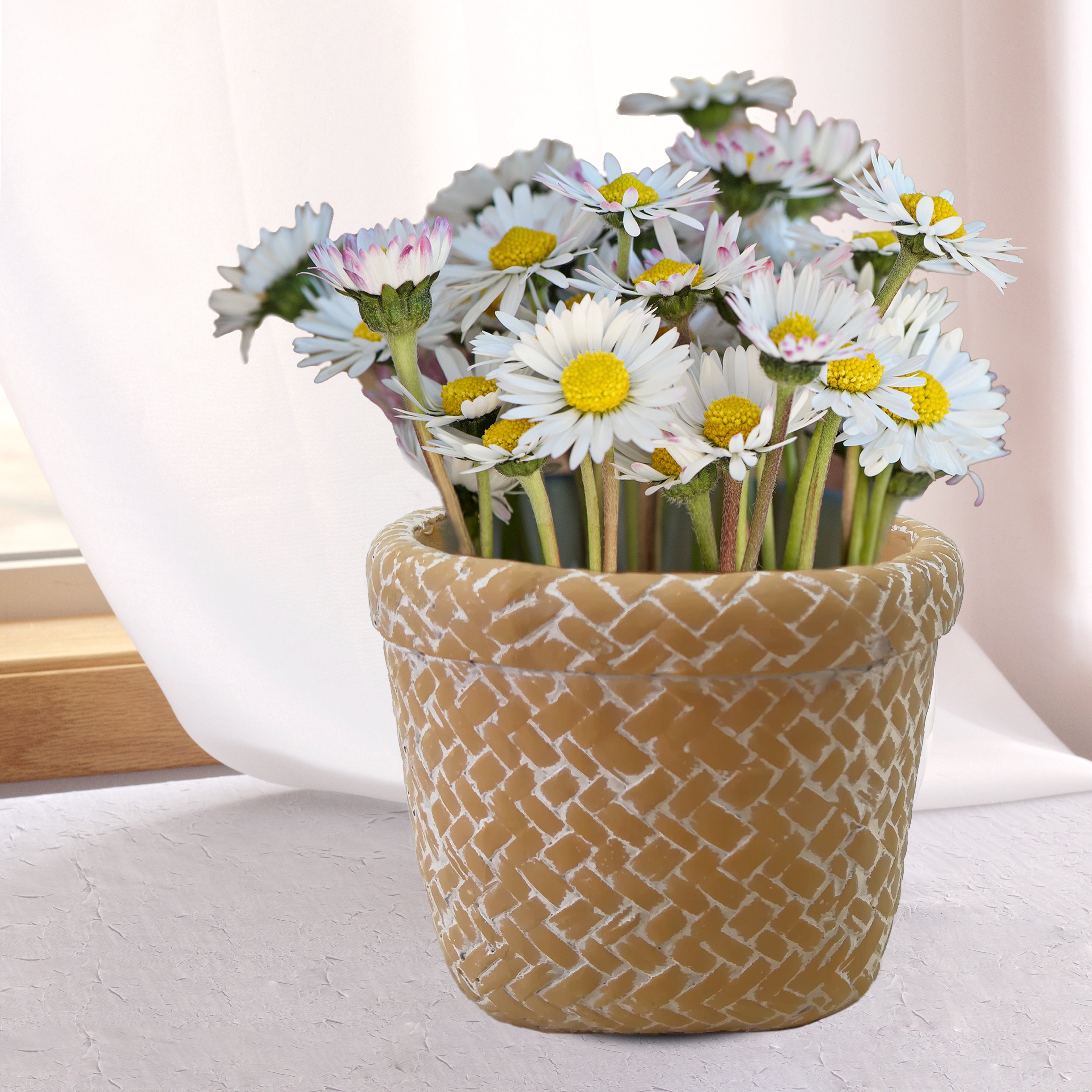 025047Simulated Wicker Large Cement Basket Planter 4/cs SKU