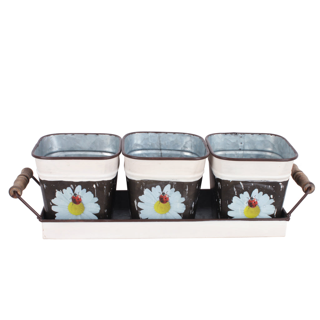 025575|Set of 3 Planters with Flower & Labybug on a Tray 12/CS Default Title
