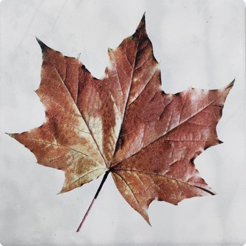 130403|S/4 Coaster with a Fall Maple Leaf 36/cs Default Title