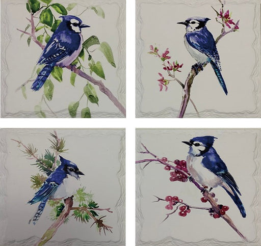 016084|Blue Jay Square Stone Edge Coasters (Set of 4) 36/case Default Title