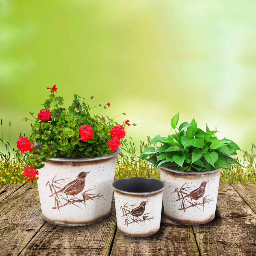 025585|Set of 3 White Planter Pots w/Bird 2/CS Default Title