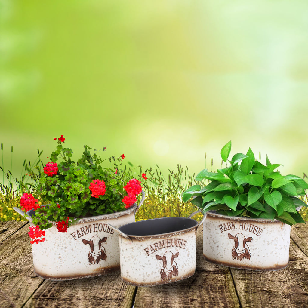 025585|Set of 3 White Oval Planter Pots w/Bird 2/CS Default Title