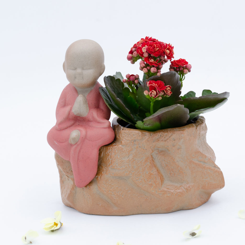 170409|Little Buddha in Pink Flower Pot 24/CS Default Title