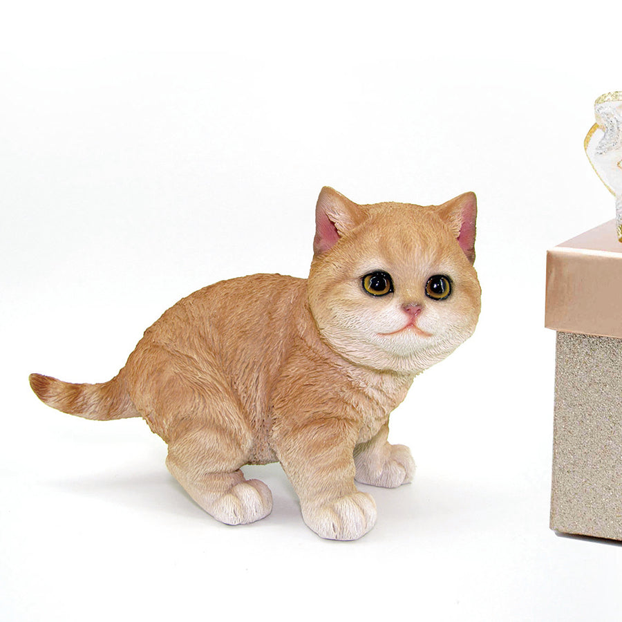 140102|Tabby Kitten Figurine 12/case Default Title