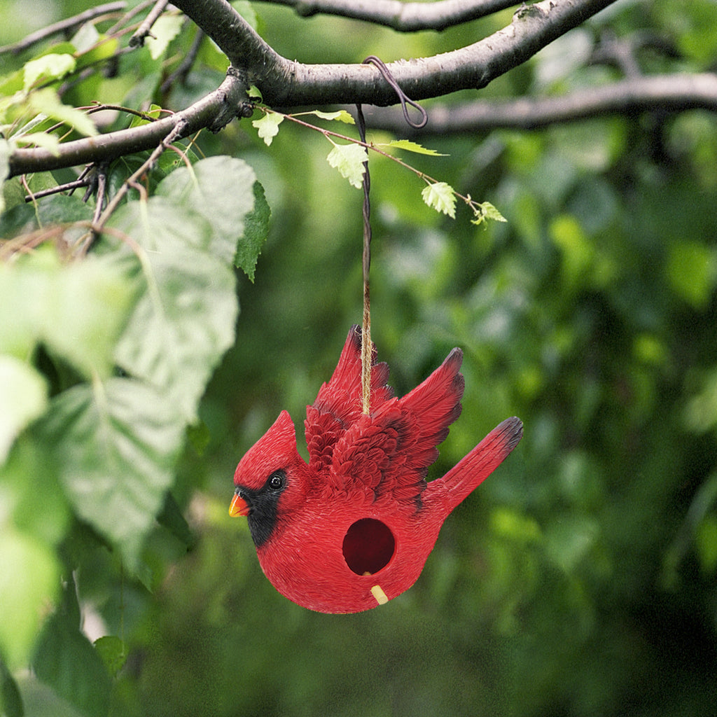 026560|Cardinal Birdhouse 12/case Default Title