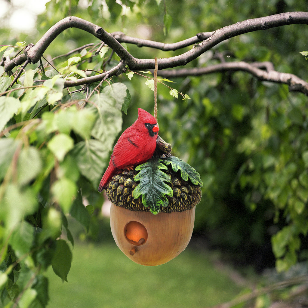 016048|Cardinal on a Hanging Acorn Birdhouse 12/CS Default Title