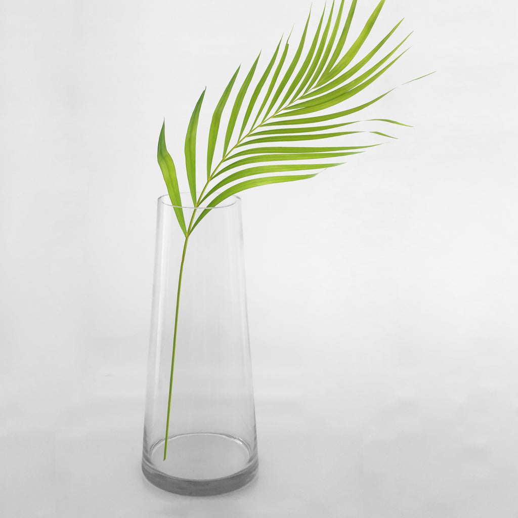 150301|11" Glass Vase 6/CS Default Title