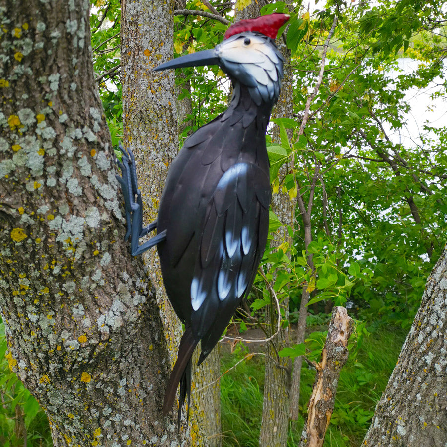 038070|Wall Mounted Metal Woodpecker 2/case Default Title